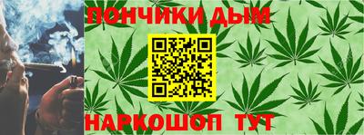 гидра Краснознаменск