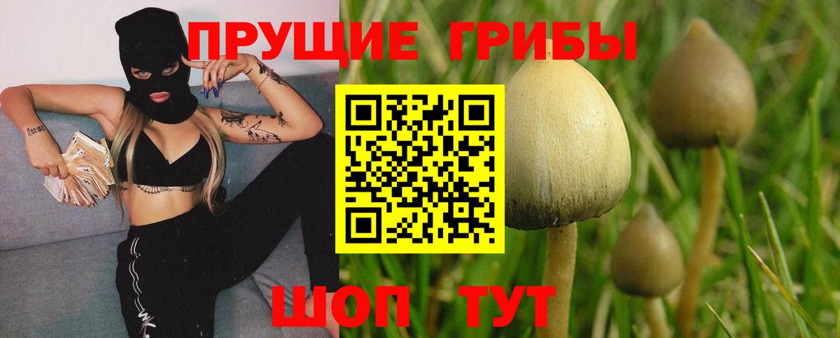 Псилоцибиновые грибы мухоморы  Галлюциногенные грибы мухоморы  Вход с VPN  Киселёвск 